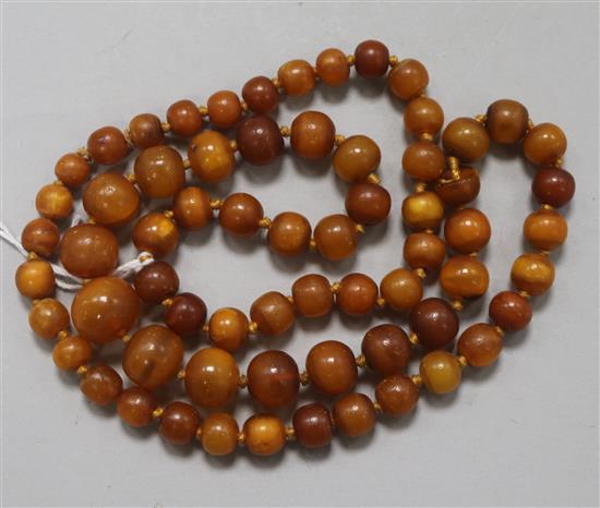 A single strand graduated amber necklace, gross 34 grams, 64cm.